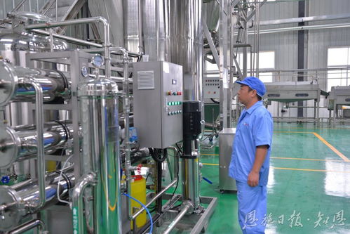 十載耕耘 硒業(yè)澎湃 恩施領(lǐng)跑全國(guó)硒產(chǎn)業(yè)的量變奇跡與科技孵化新篇